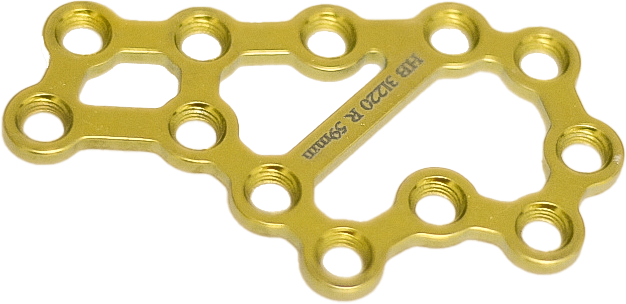 П'яткова пластина блокуюча компресійна, ЕЙЧ БІ ОРТО